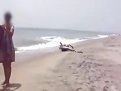 Indiana nenitoa 1261